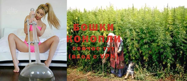 ГАЛЛЮЦИНОГЕННЫЕ ГРИБЫ Баксан