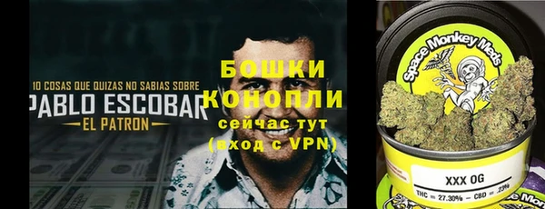 ГАЛЛЮЦИНОГЕННЫЕ ГРИБЫ Баксан